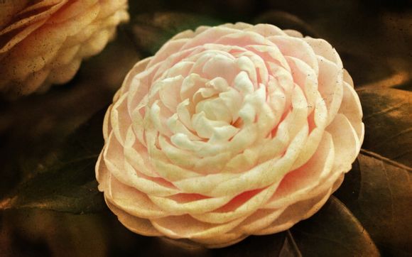  费县天蒙山景区门票多少钱