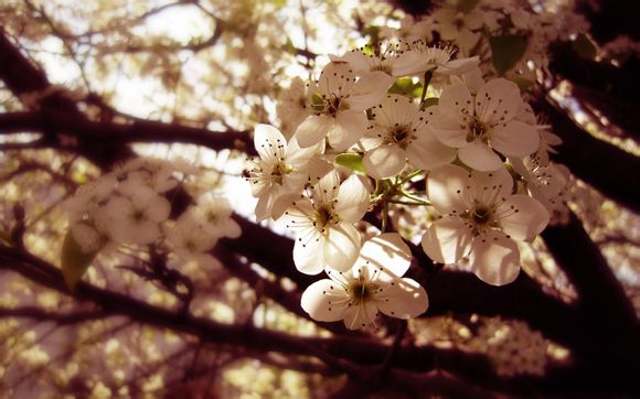  浙江普吉岛旅游攻略