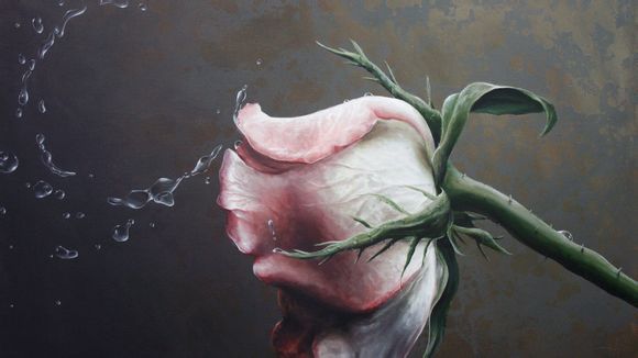 厦门君怡酒店就近景点