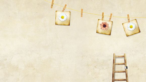  塞班岛旅游攻略自由行攻略