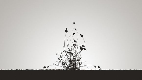  武汉至桂林自驾游攻略