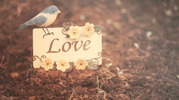  2021无锡三日游最佳攻略