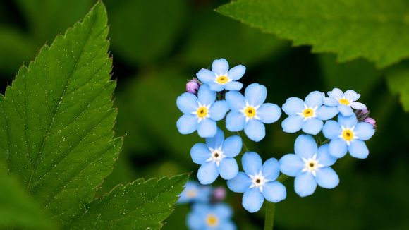  山西洪洞县移民姓氏表