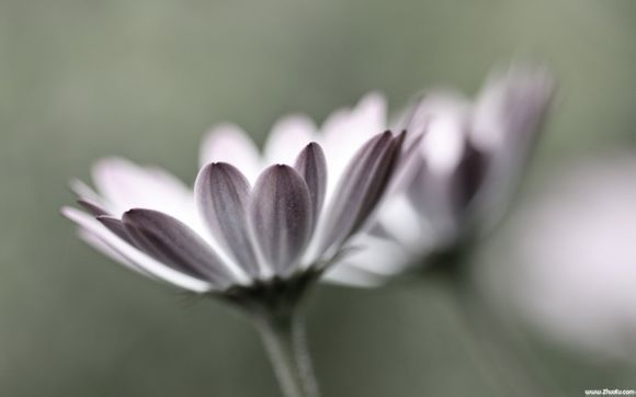  夏威夷本来是哪个国家的