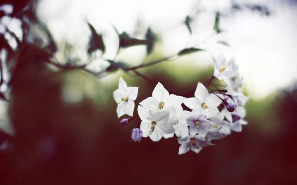  海滨栈道攻略 深圳