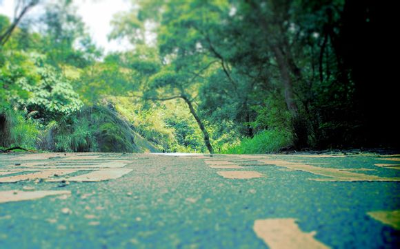  厦门园博苑需要核酸检测吗