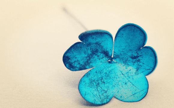  海湾森林公园要门票吗