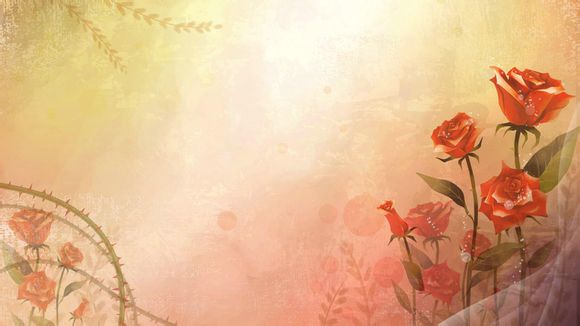 中关村超长待机手机报价