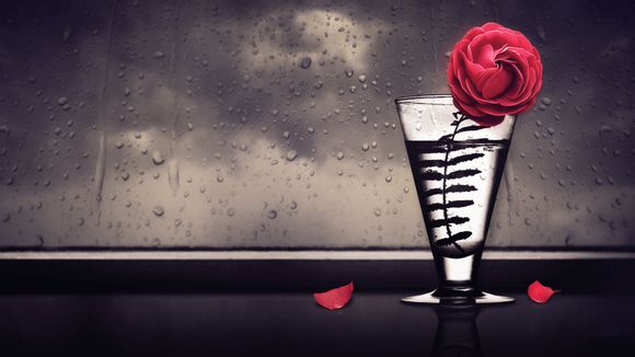  丽江一般玩几天