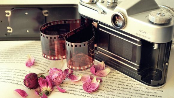  茂名浪漫海岸 攻略