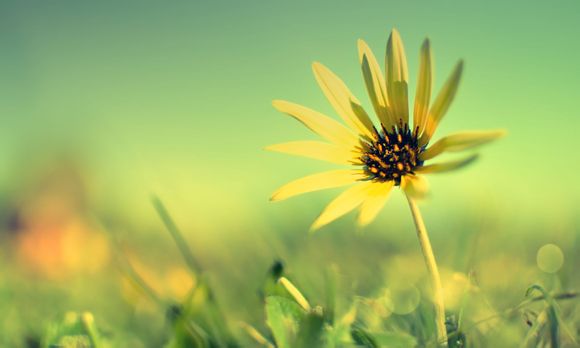  奉化溪口旅游景点大全票价