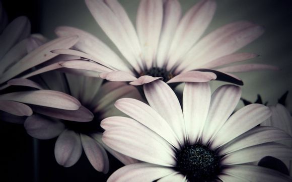  为什么不能随便拜寺庙