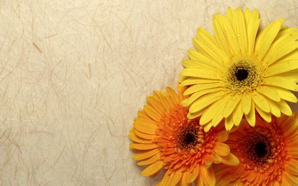  玉环到大鹿岛多少时间