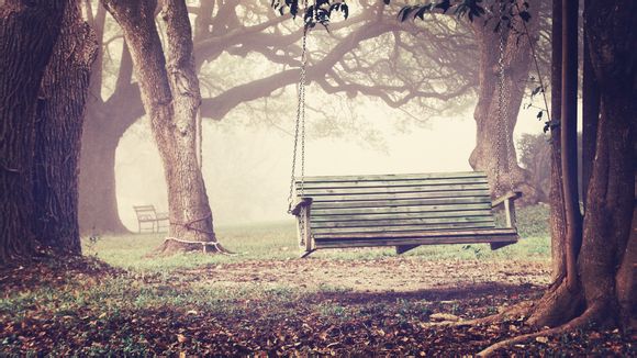  双流梦幻岛有哪些项目