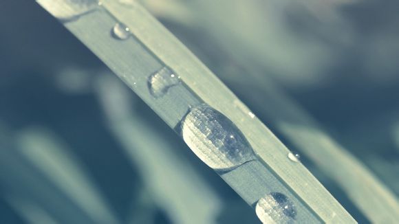  详细的旅行攻略英文