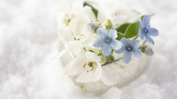  基督城属于哪个国家