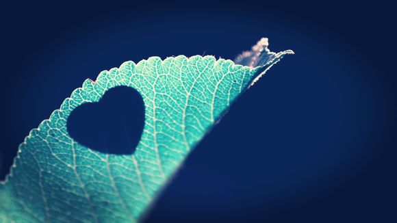 世界最高的桥梁是哪里?