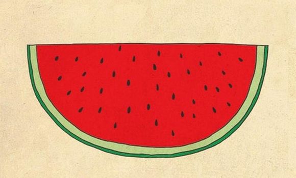  崇明东滩湿地候鸟时间