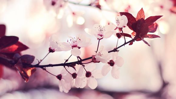  吕梁交城十大旅游景点