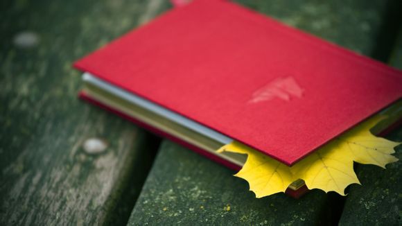  永定土楼景区门票价格