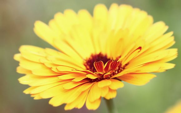  乌兰察布十大必去景点