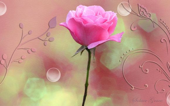  西宁到成都自驾游最近的路线