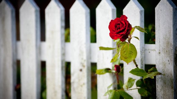  天悦湾温泉门票多少钱