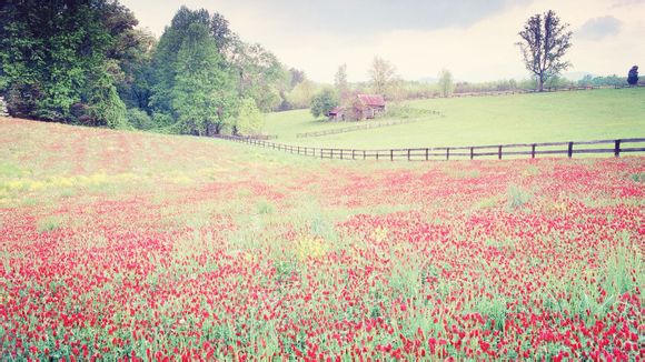  西安音乐喷泉开放时间2022