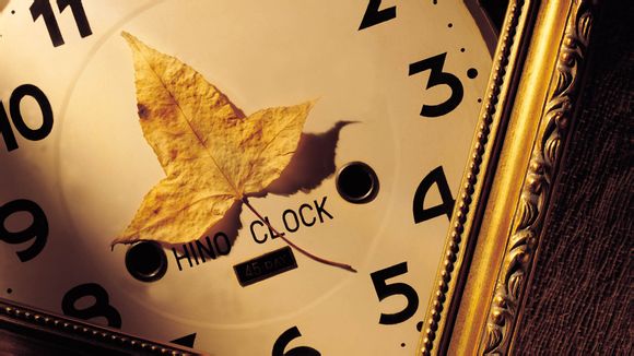  里约热内卢是哪个国家的城市