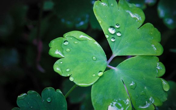  东营为什么是四线城市