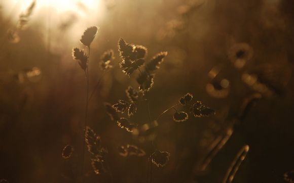  海上观光游船价格