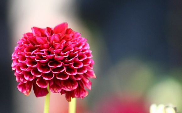  湘西有哪些好玩的景点