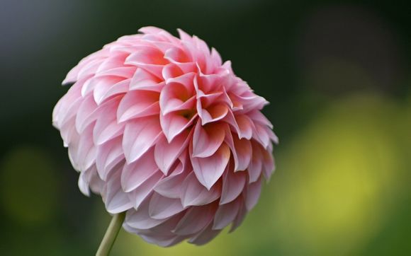  怎样去法国旅游