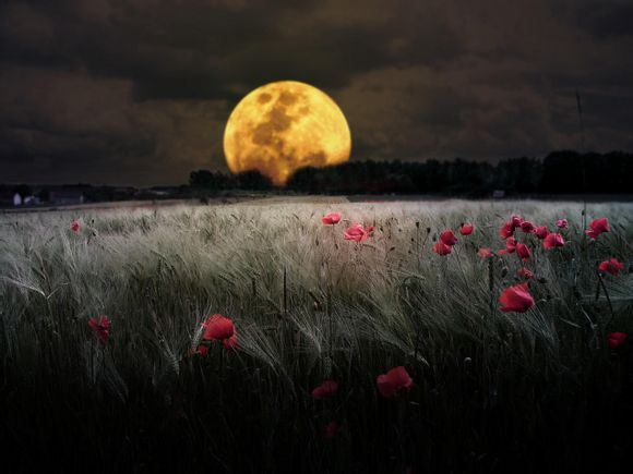  乳山市属于几线城市