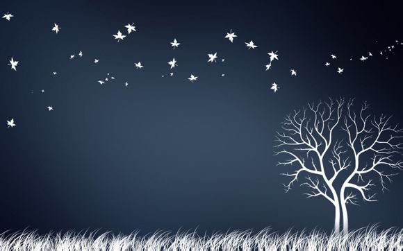  798艺术区有夜景吗