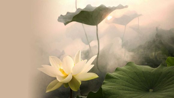  济南卧虎山门票多少钱