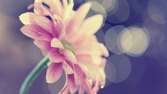  江苏盐城十大旅游景点