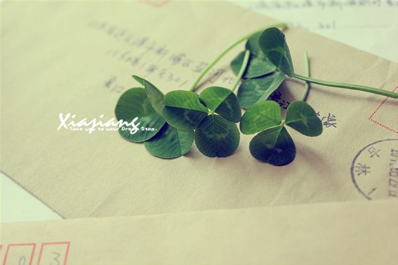  为什么不买大芬村油画